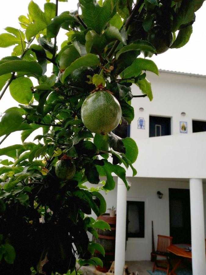 Appartamento Lazy Lizard By The Ocean Seixal  Esterno foto