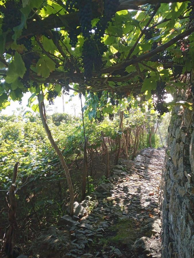 Appartamento Lazy Lizard By The Ocean Seixal  Esterno foto