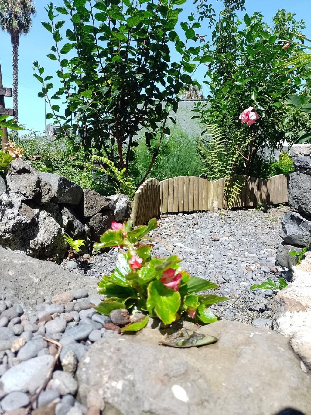 Appartamento Lazy Lizard By The Ocean Seixal  Esterno foto